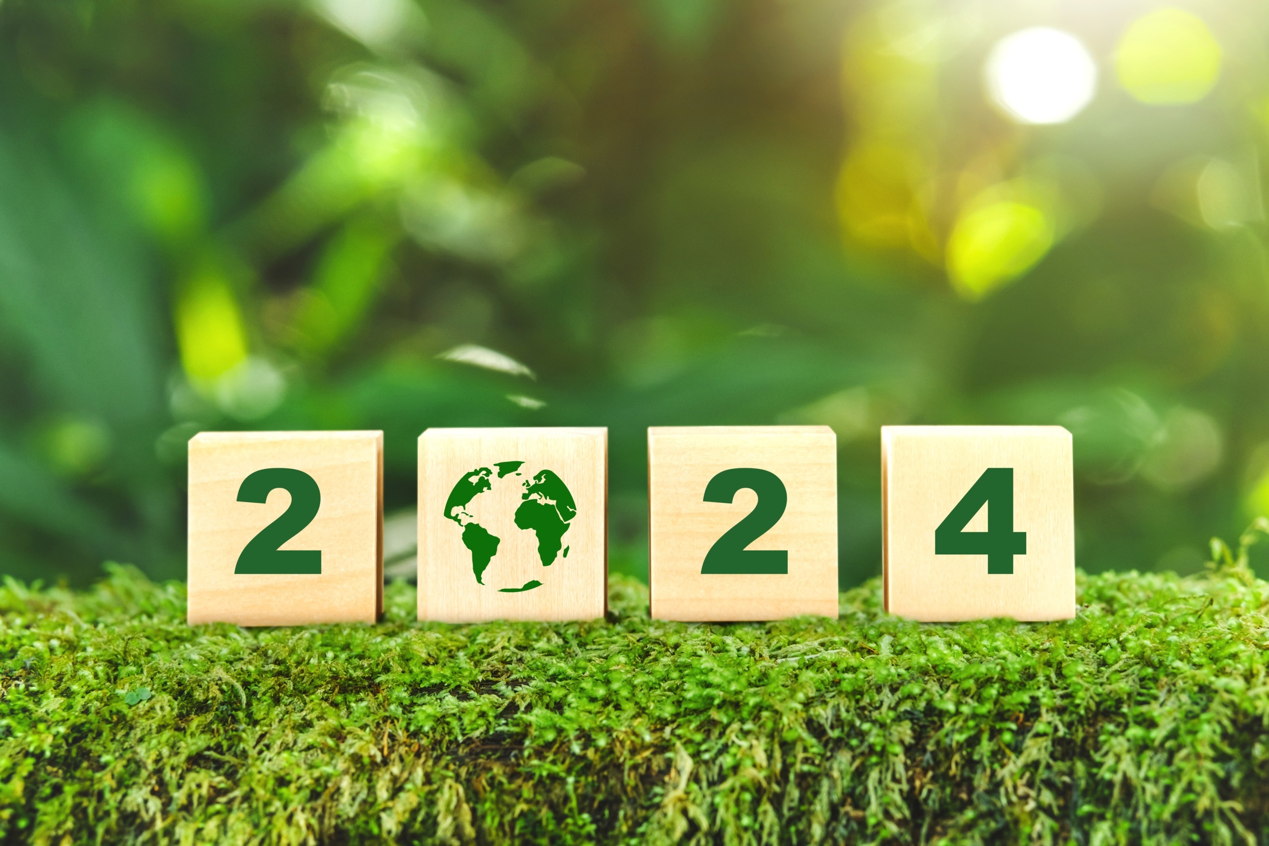 6 Tips for a Greener Office in 2024